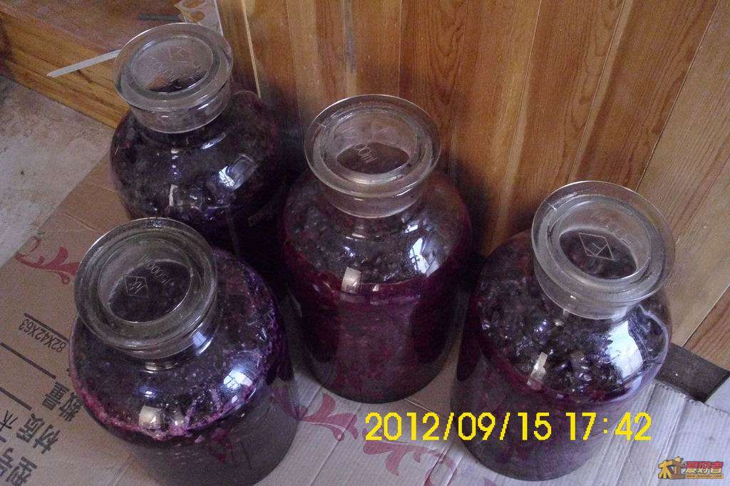 2012091517.JPG
