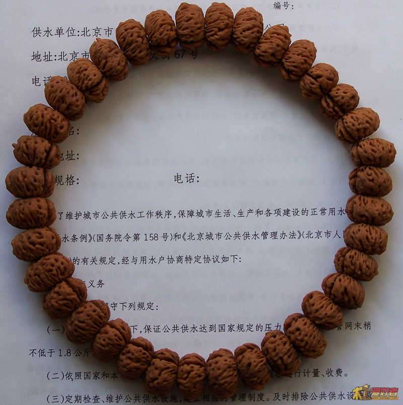 100_3863_副本.jpg