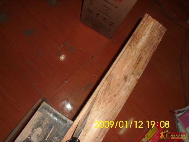 DSCI4158.JPG