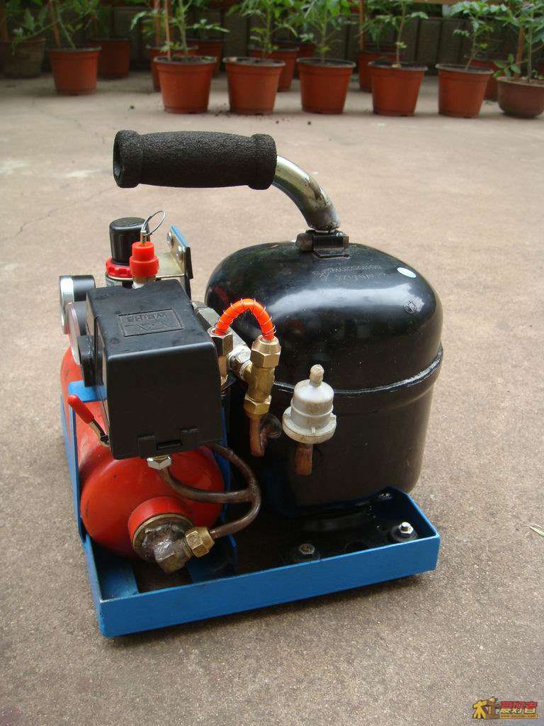 DSC08206.JPG
