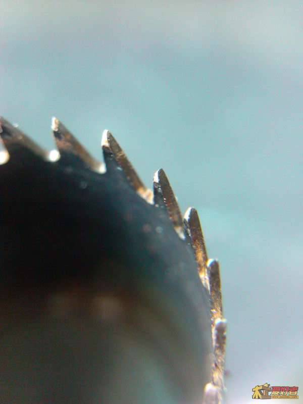 IMG_20121001_142533.jpg