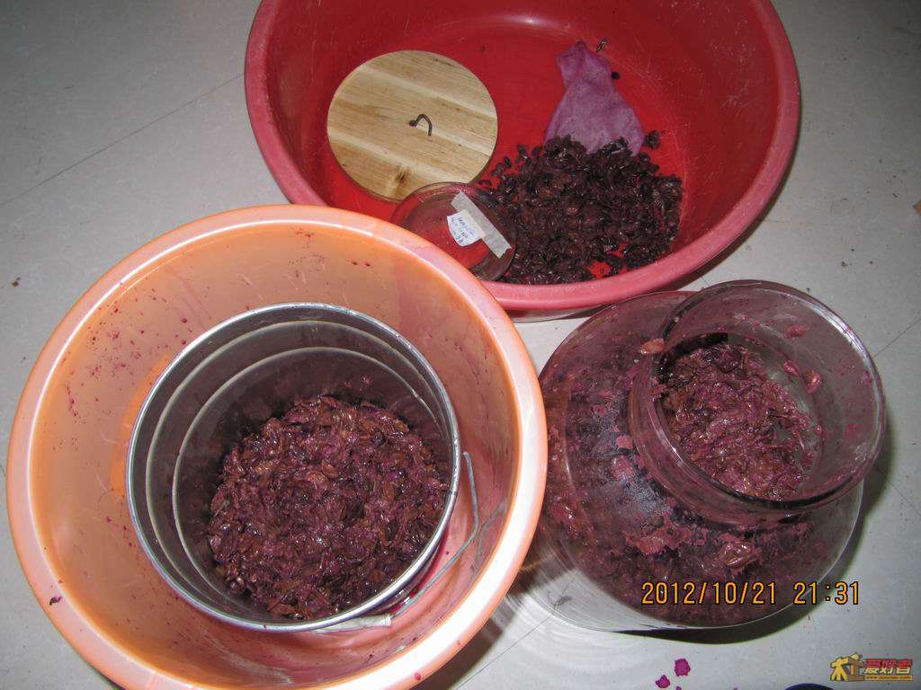 20121021p36.JPG