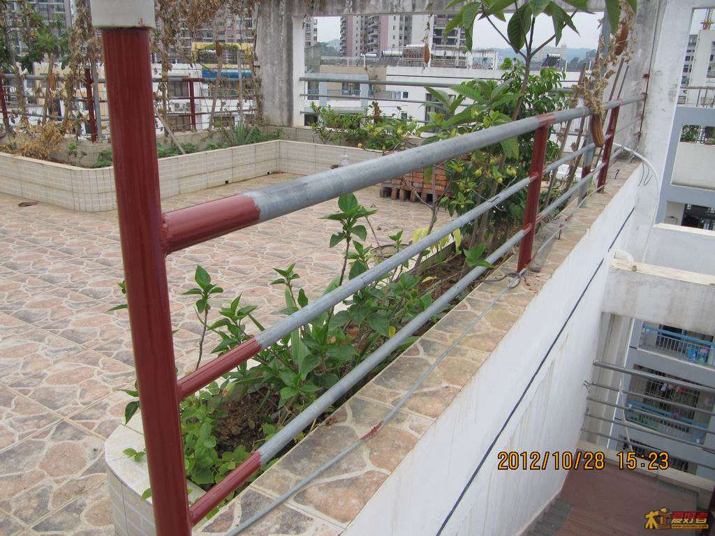2012102709.JPG