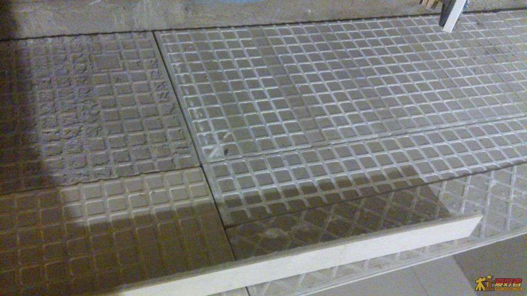 IMAG0242.jpg