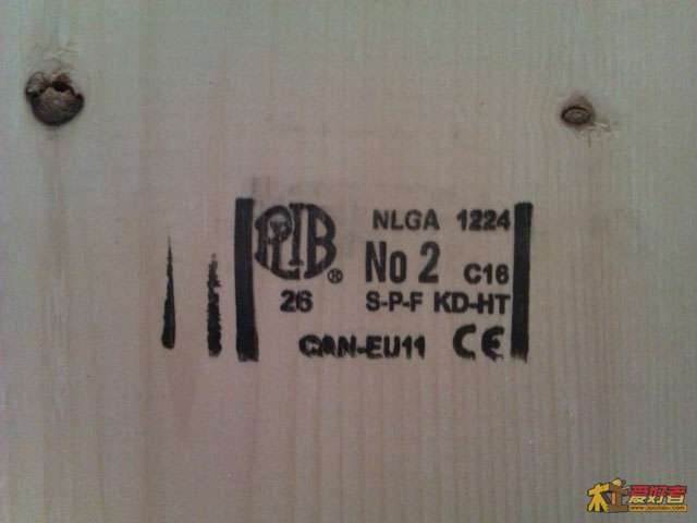 IMAG0049.jpg