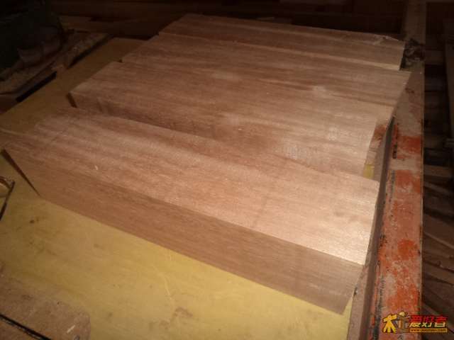 DSC01217.JPG