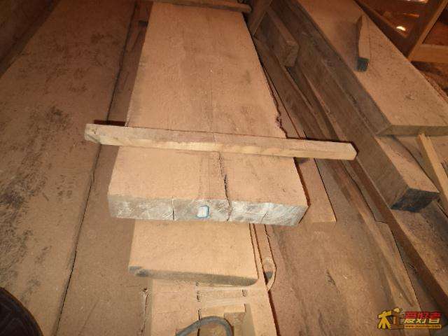 DSC01244.JPG