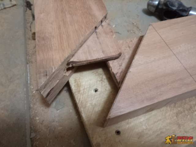 DSC01294.JPG