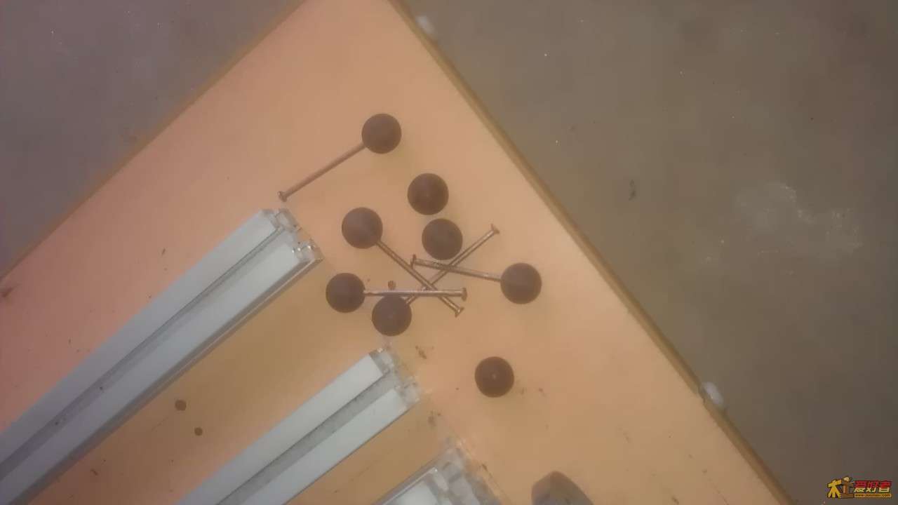 IMAG0257.jpg
