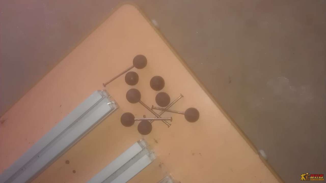 IMAG0258.jpg