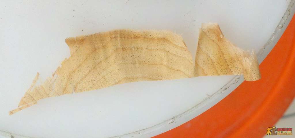 2012-06-20_09-34-35_366-1.jpg