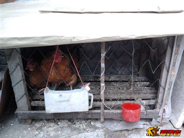 2013-01-07 10.53.31.jpg