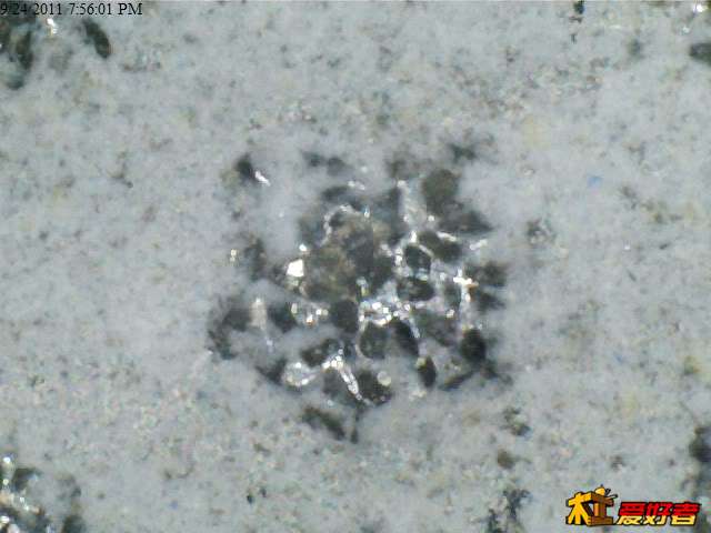 Atoma400Micro1.jpg
