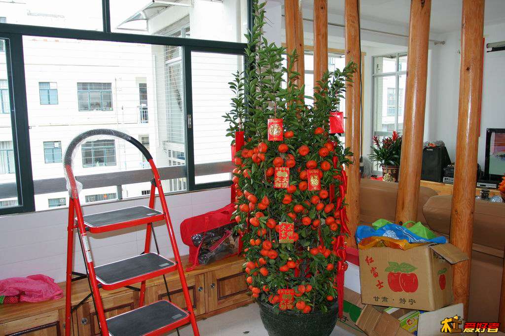 2013021004.JPG