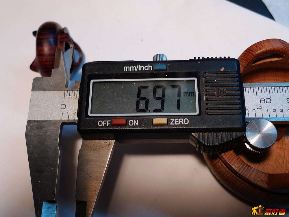 P1000501.jpg