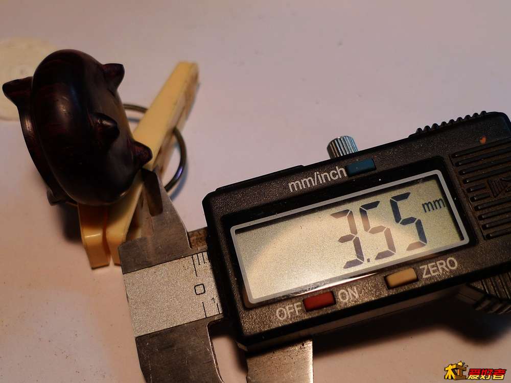 P1000502.jpg