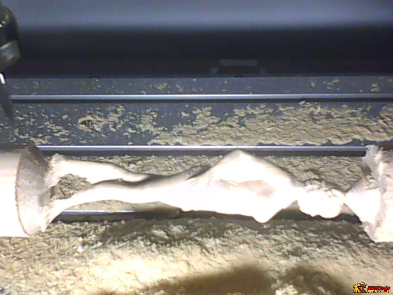 IMG0297A.jpg
