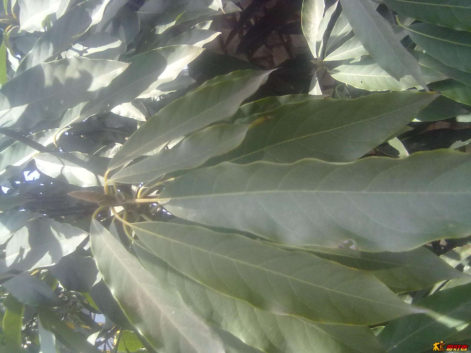 20130305811.jpg