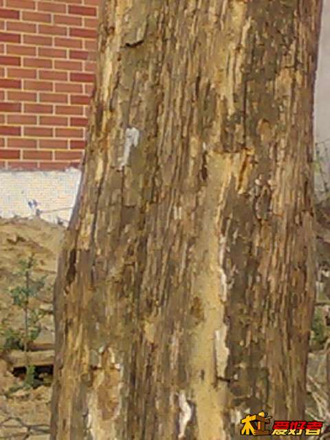IMG_20130309_162658_0.jpg