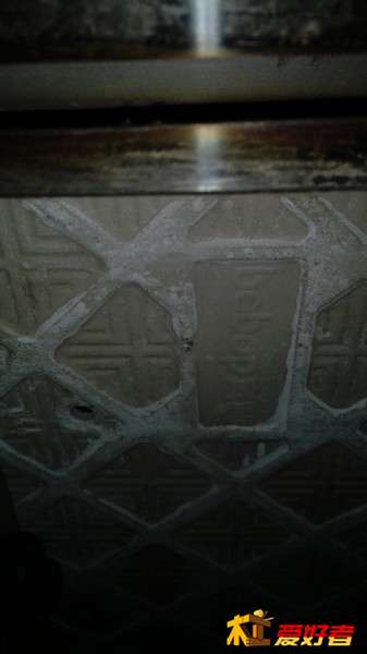 IMG_20130322_203124.jpg
