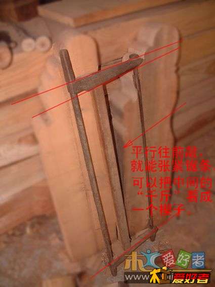 南方锯子.jpg