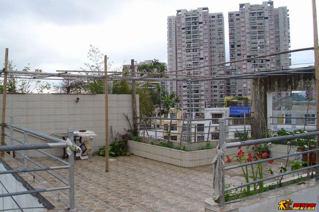架003.JPG