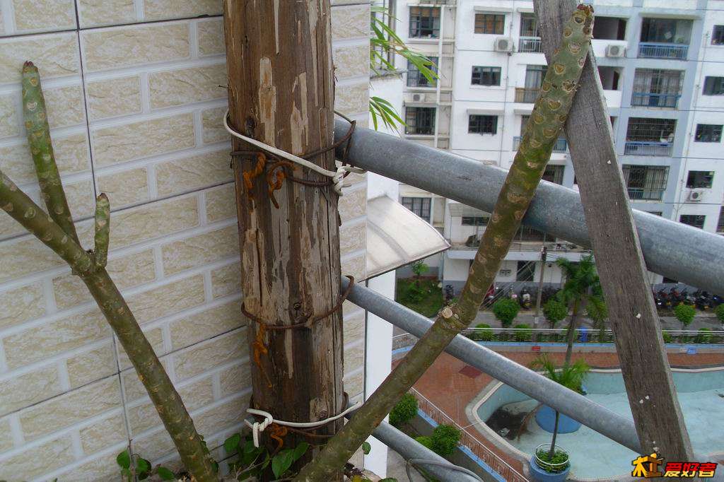 架009.JPG