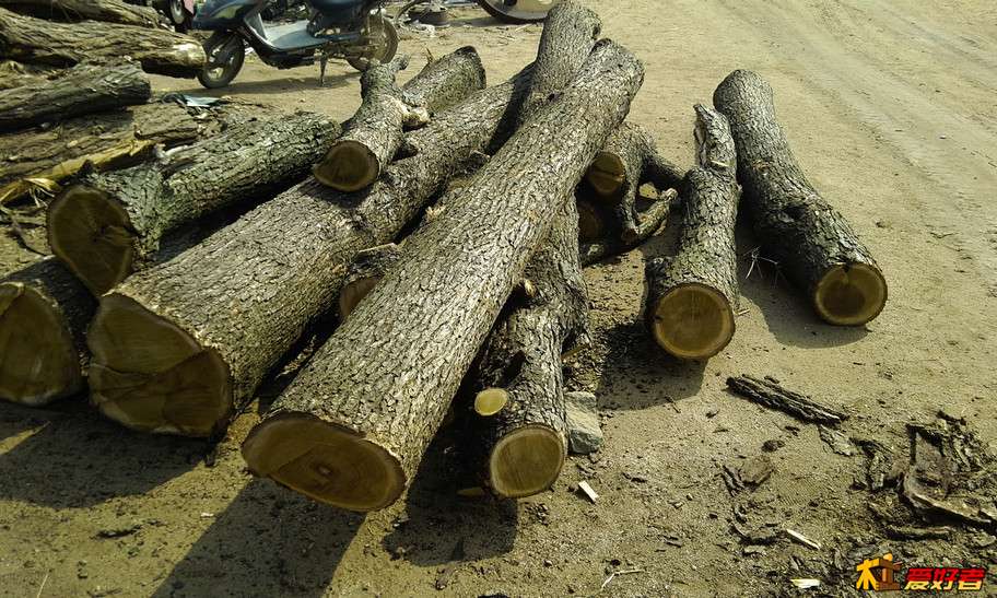 原木.jpg