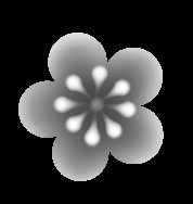 梅花 (2).bmp