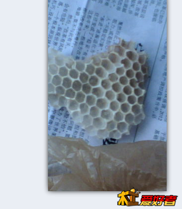 QQ截图20130422143414.png