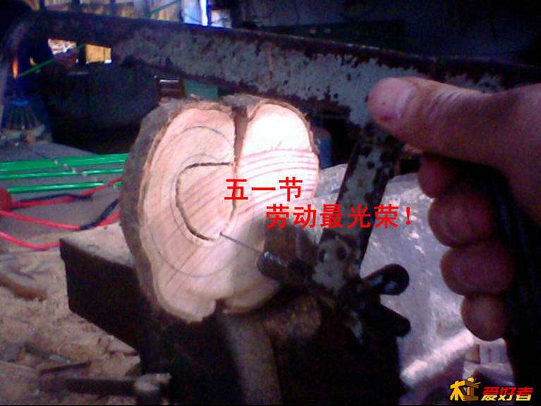 IMG3113A.jpg