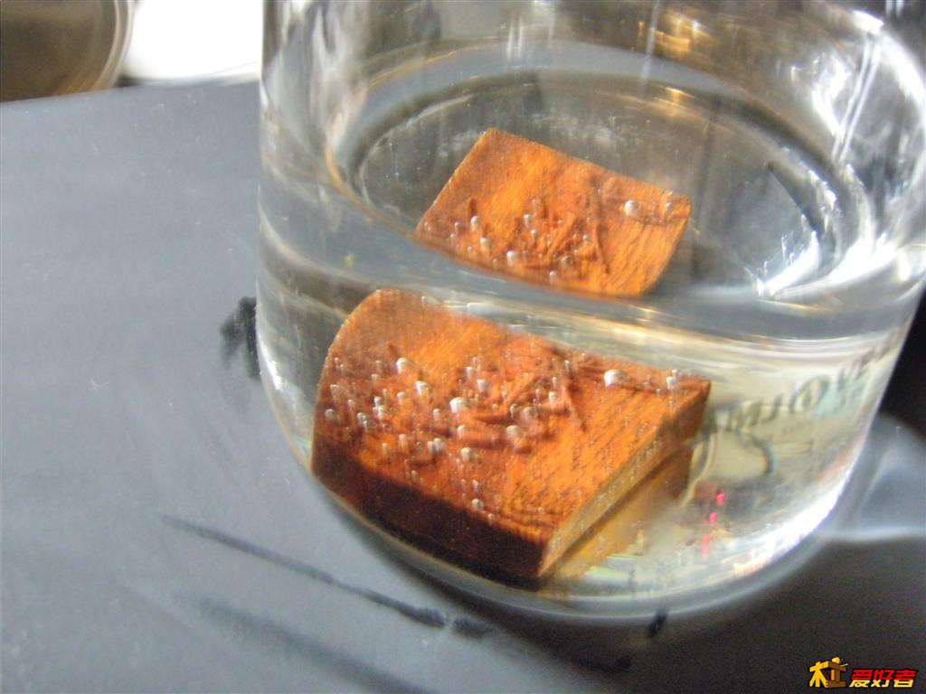 P5010046 (大).JPG