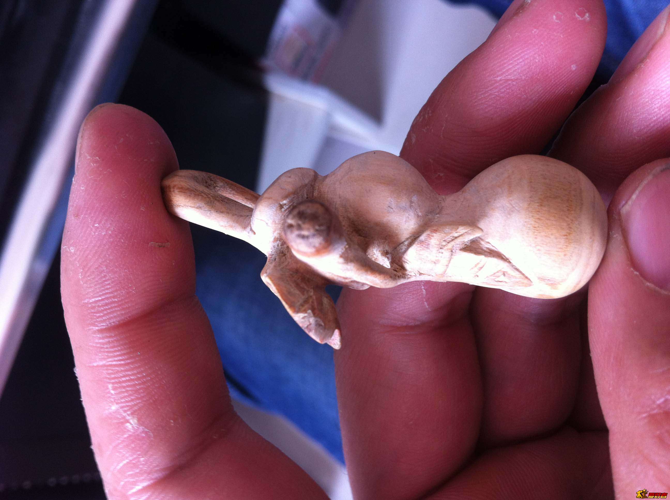 上面那个叶子，被我不小心弄断了一点。