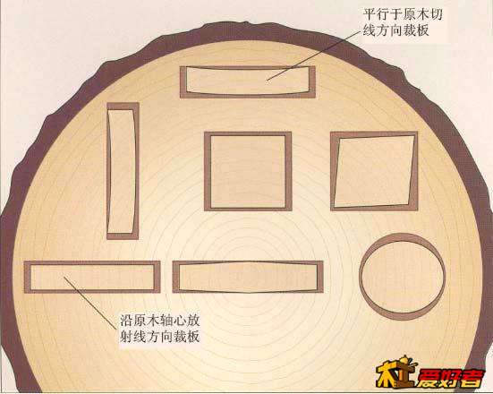 预测木料的胀缩运动[1].JPG