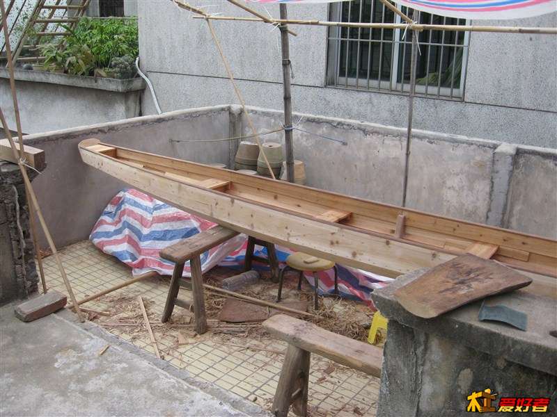 733.jpg