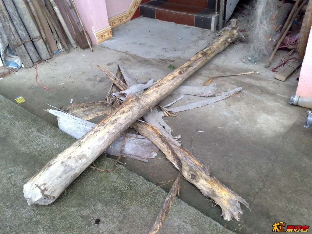 小苦楝树，风干好多年，小部分烂了没出多少板