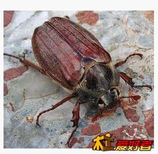 QQ截图20130512213319.jpg