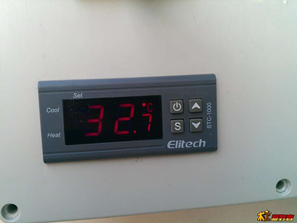 IMAG0282.jpg
