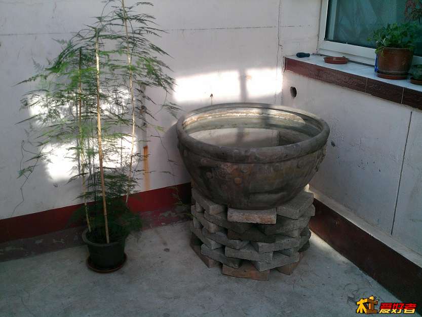 IMAG0283.jpg
