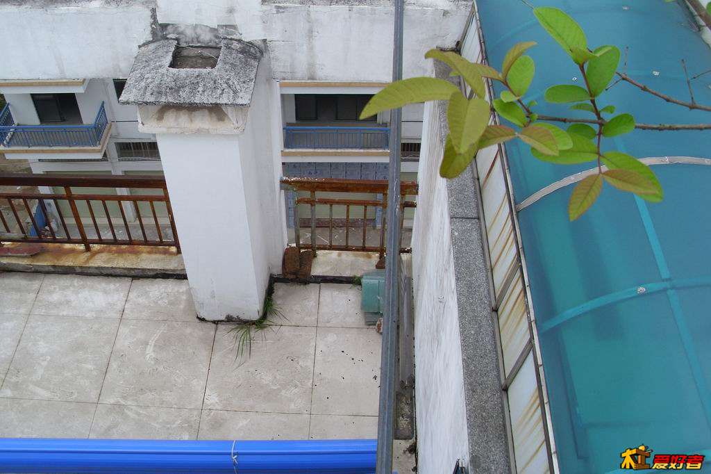 20130518架006.JPG