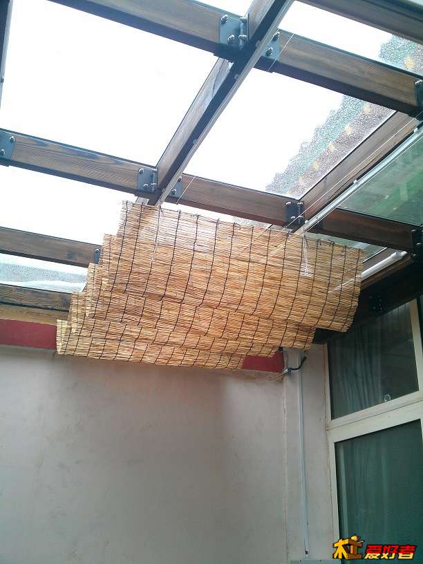 IMAG0307.jpg