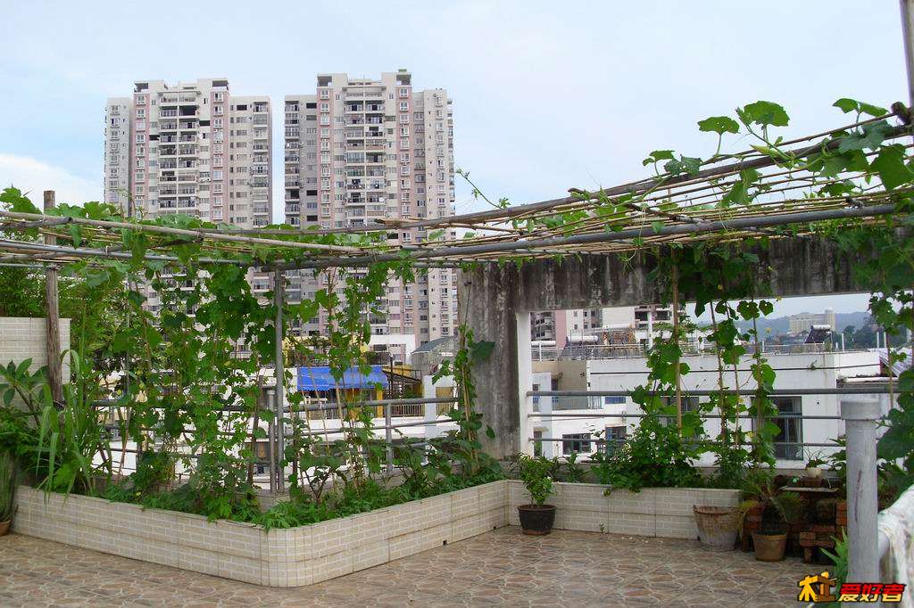 20130605009.JPG