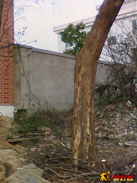 1112590hbogl2o121hboah.jpg