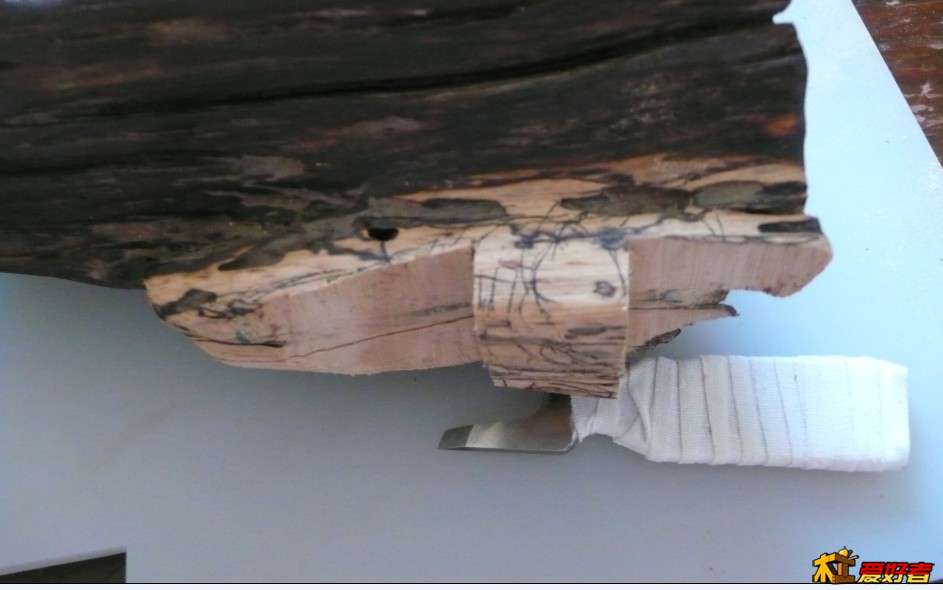 能爬树的有那些呢？