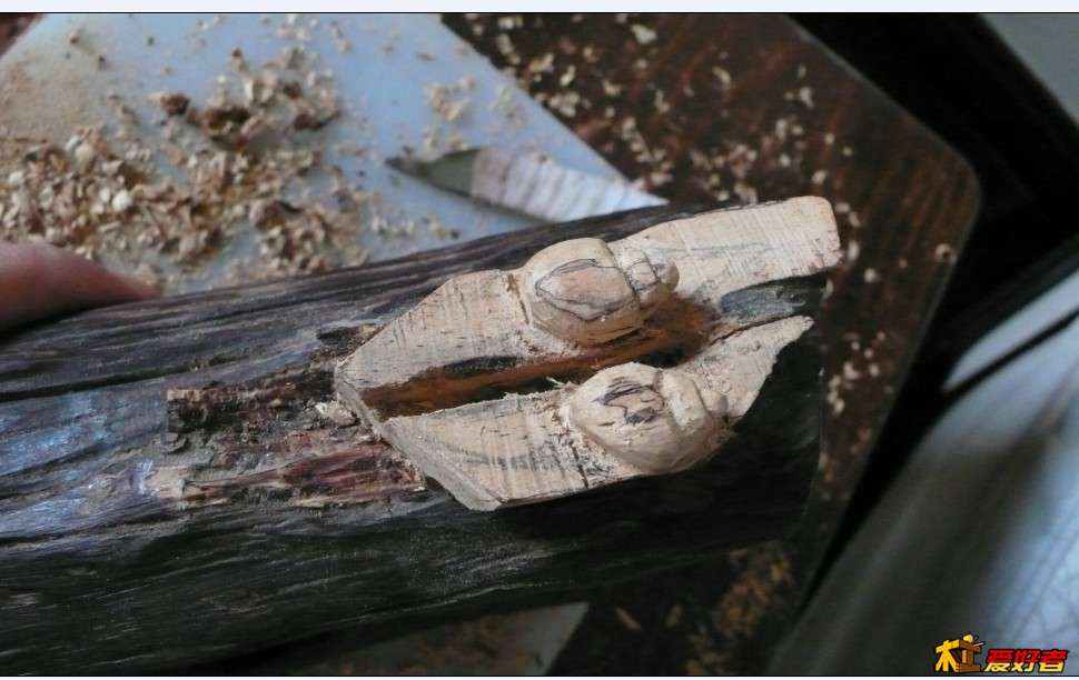 壁虎难雕又不够萌，飞蛾更恐怖