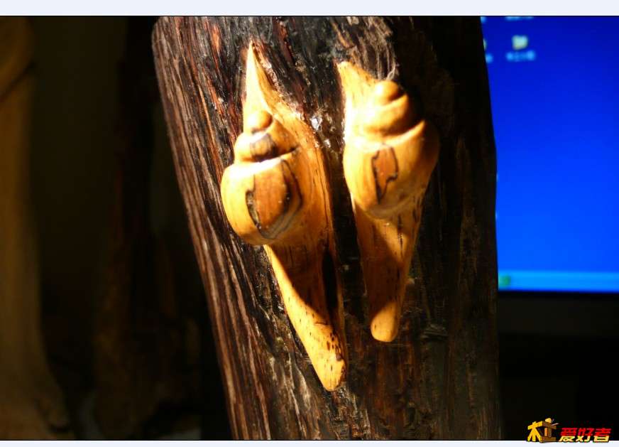 巧克力树上爬了两~~