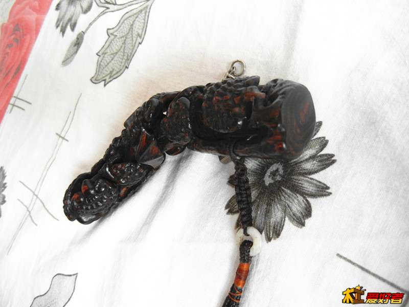 DSCN4679.JPG