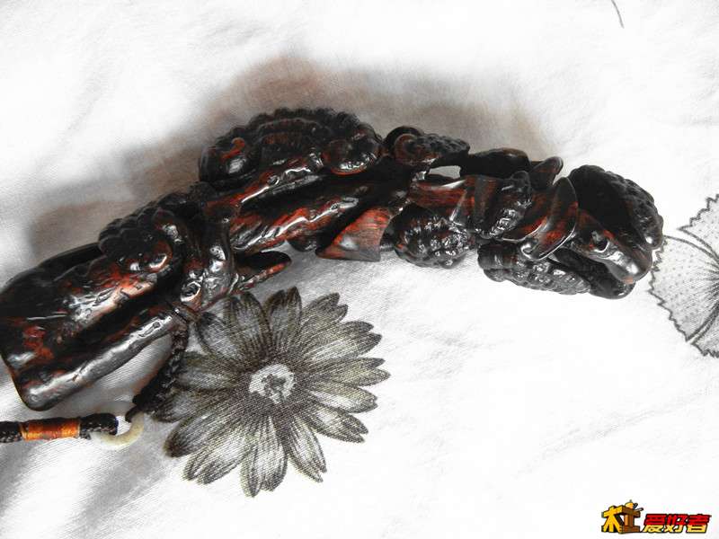 DSCN4680.JPG