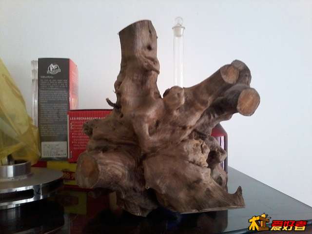 2013-06-20 08.13.26.jpg