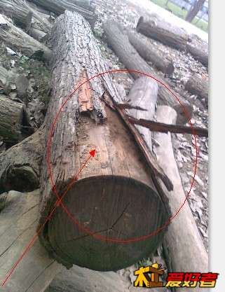 QQ图片20130710173002.jpg